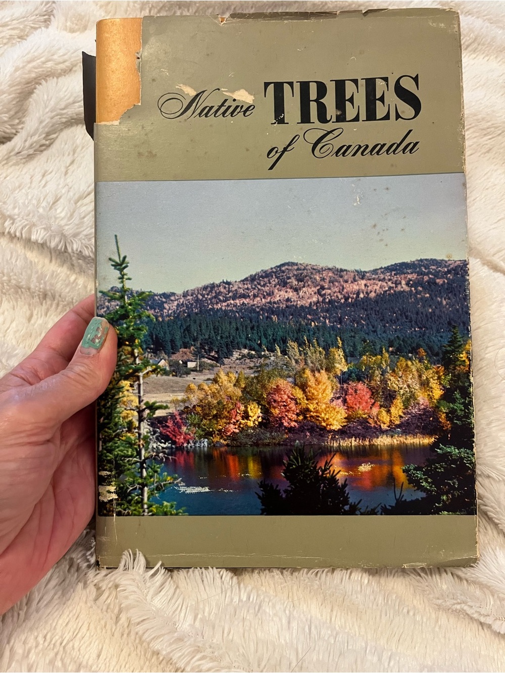 Native Trees of Canada